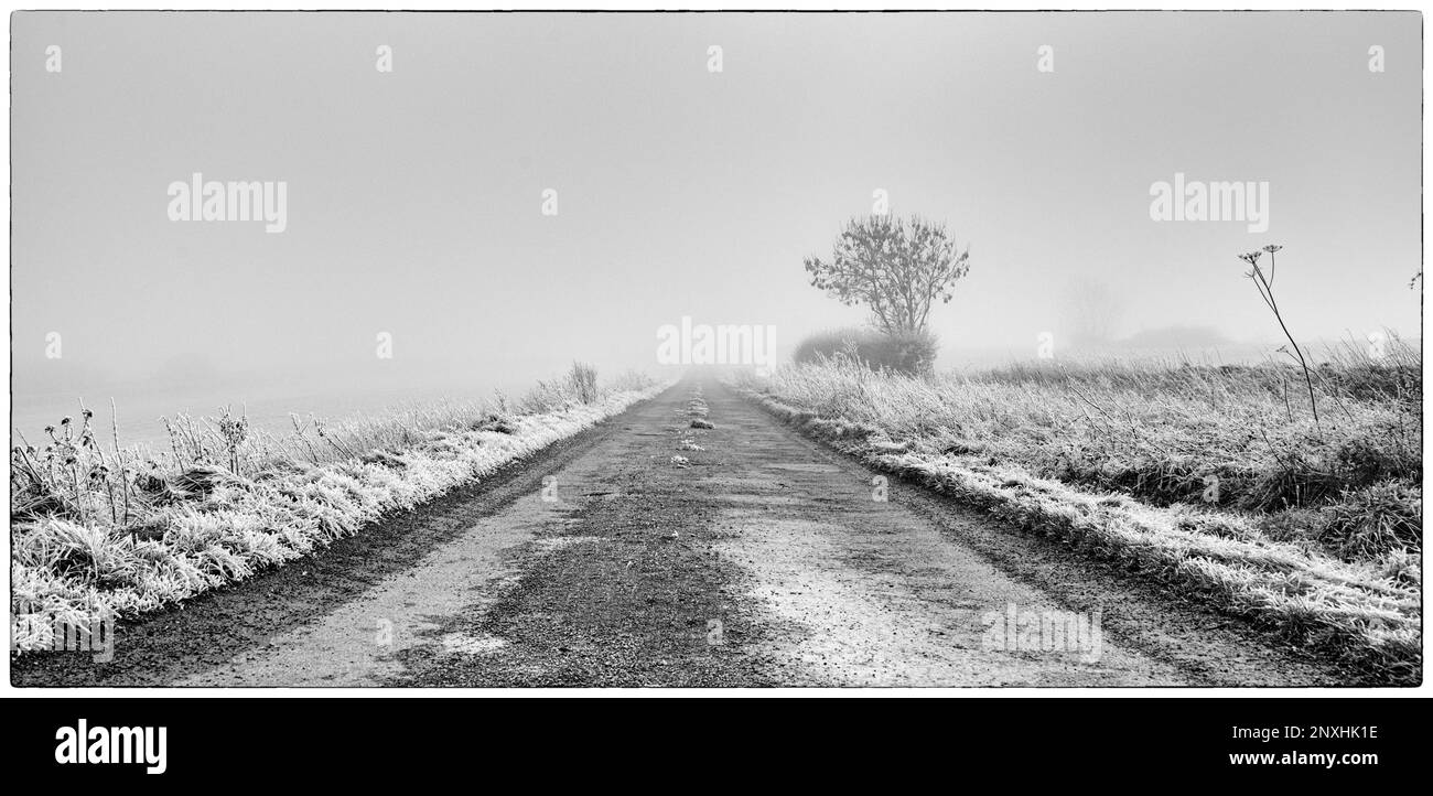 Pista invernale che conduce in lontananza - bianco e nero Foto Stock