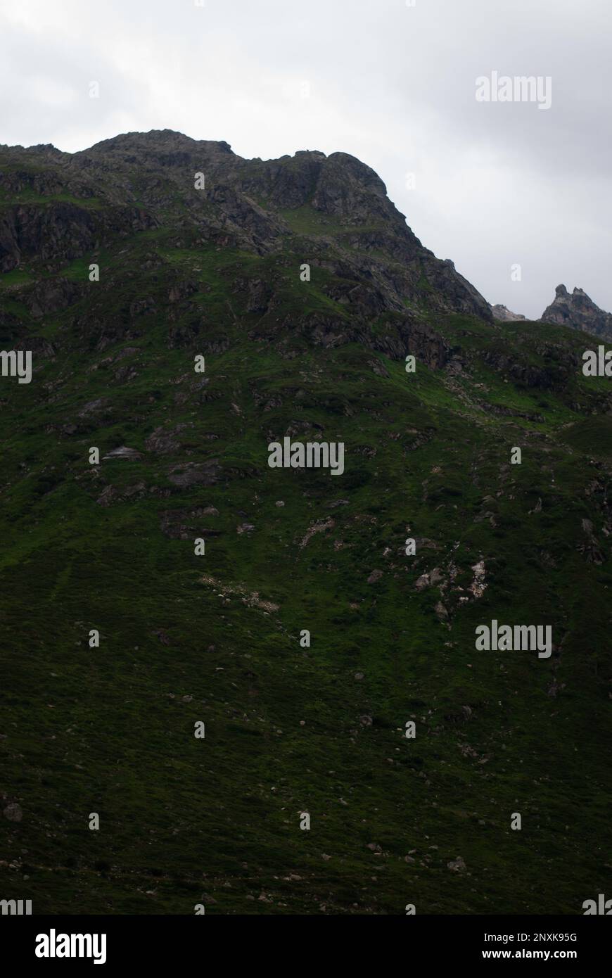 Vista sul verde della montagna con il tempo nuvoloso nelle Alpi Foto Stock