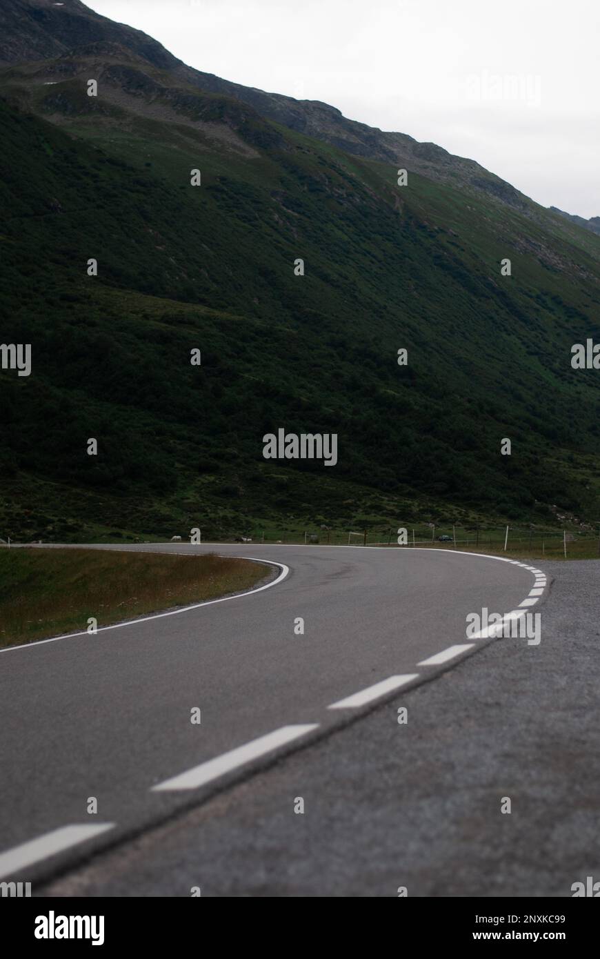 Vista su strada nelle verdi Alpi con tempo nuvoloso Foto Stock