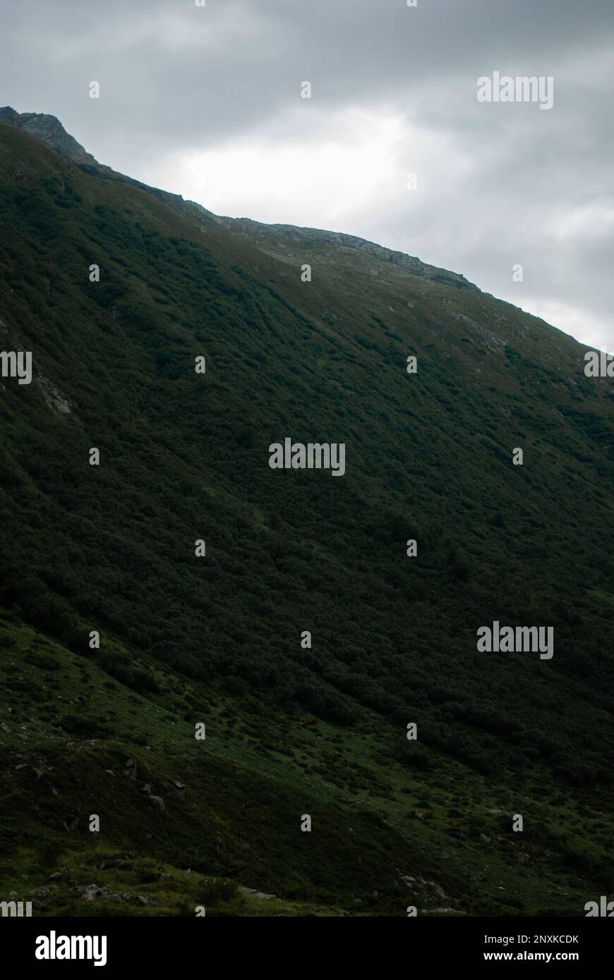 Vista sulle verdi montagne con tempo nuvoloso Foto Stock