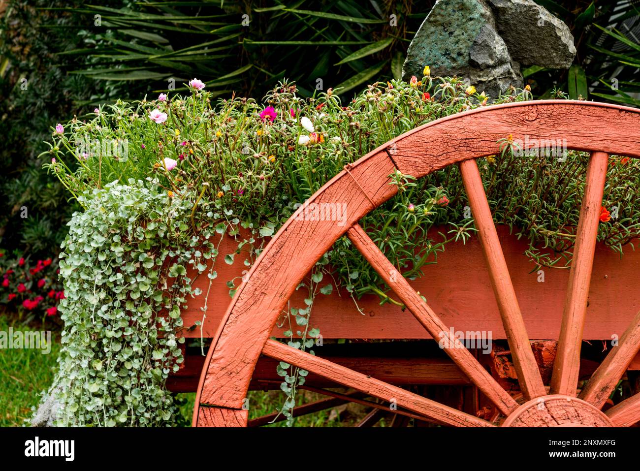 giardino su carrello con ruota di legno Foto Stock