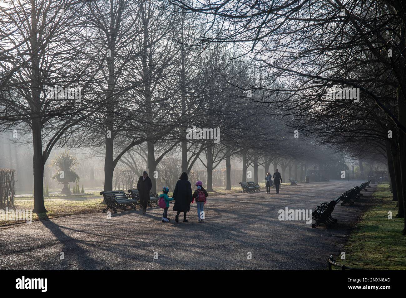 Persone che passeggiando sulla vasta passeggiata di Regent's Park in una mattina d'inverno nebbiosa a Londra, Inghilterra Foto Stock