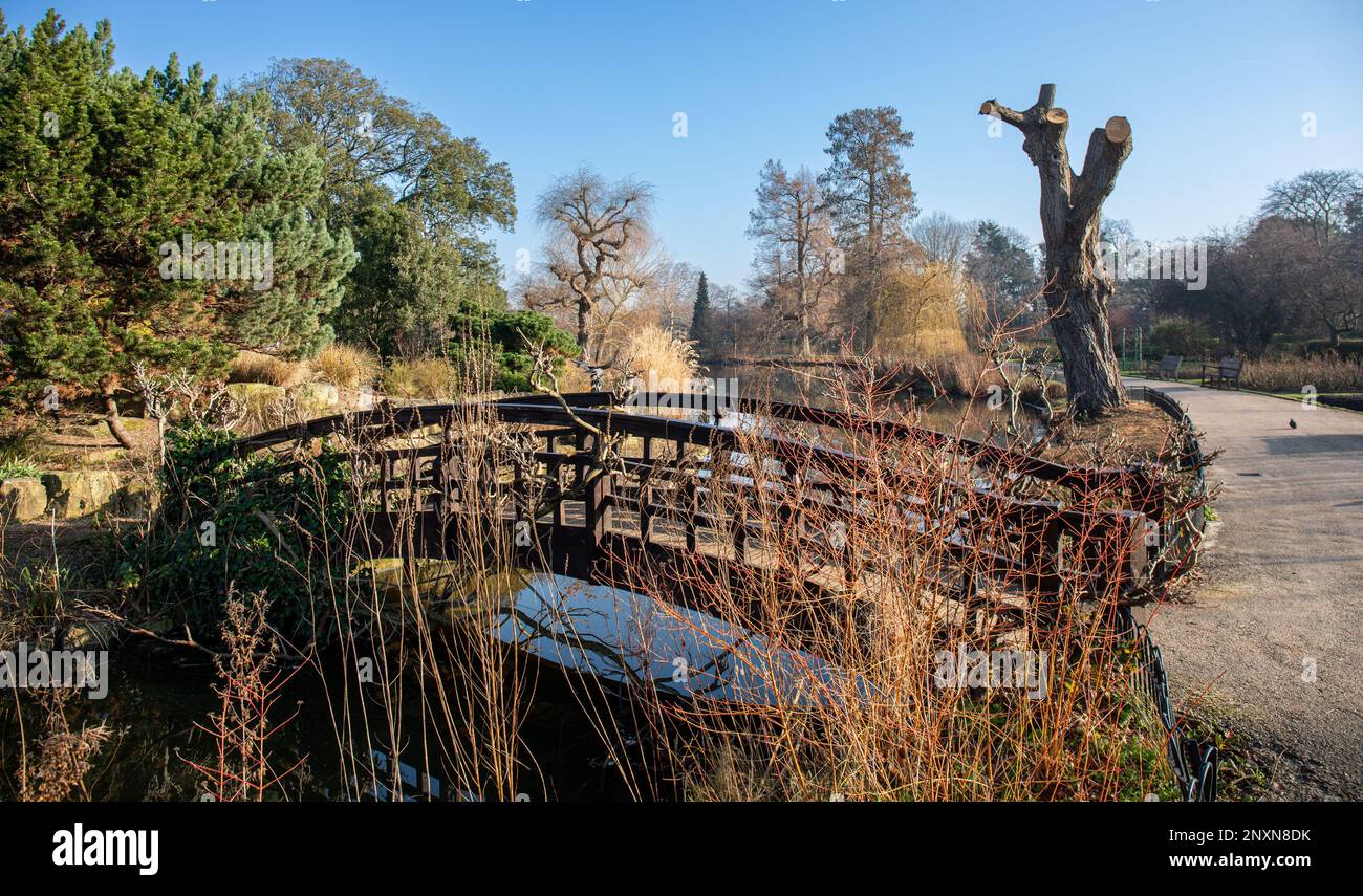 Piccolo ponte pedonale per Japanese Garden Island in una soleggiata giornata di febbraio nel Regent's Park Inner Circle. Londra, Inghilterra. Foto Stock