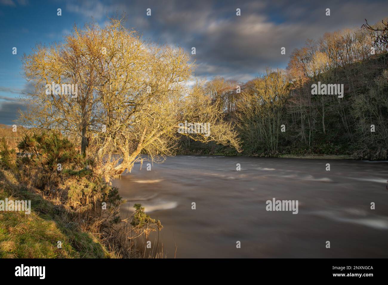 Inverno lungo il fiume Don, Inverurie, Aberdeenshire, Scozia, Regno Unito Foto Stock