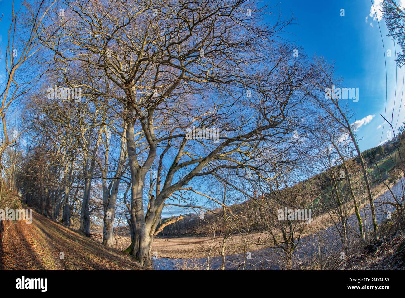 Inverno lungo il fiume Don, Inverurie, Aberdeenshire, Scozia, Regno Unito Foto Stock