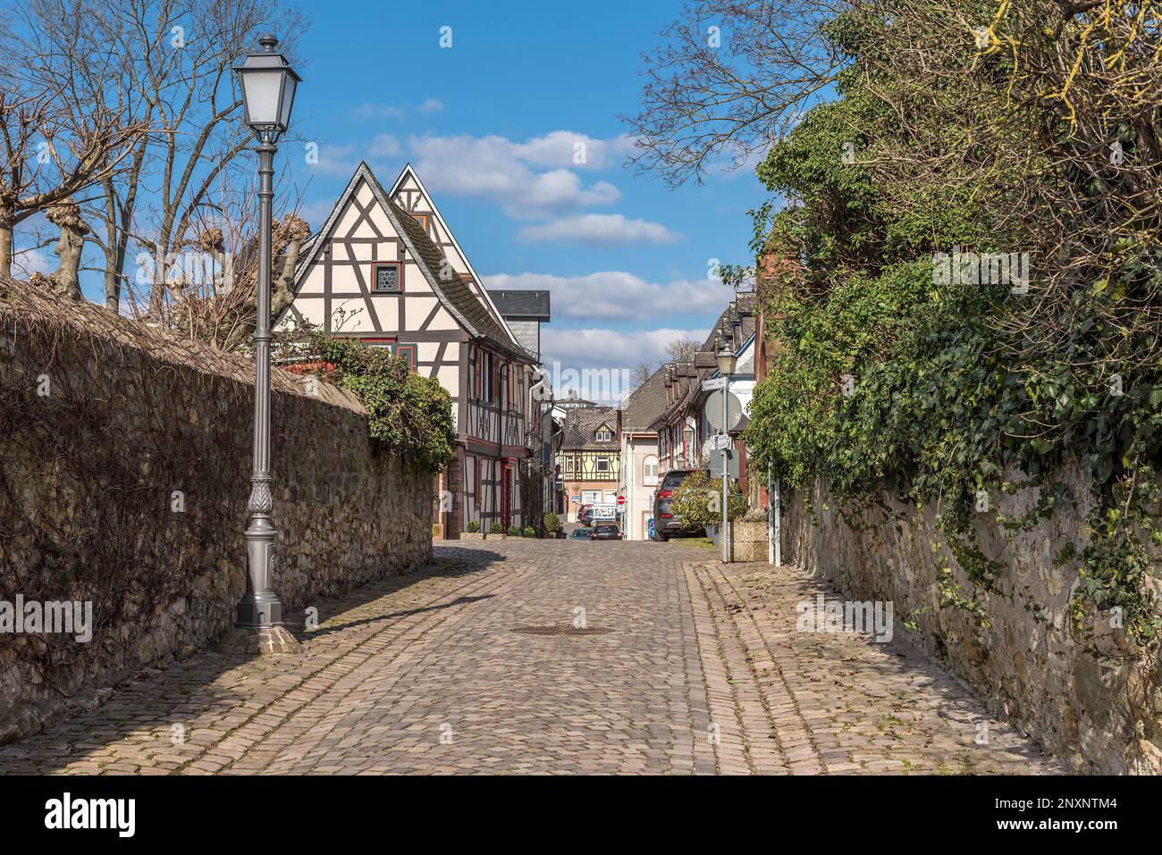 Case nel centro storico di Eltville am Rhein nella Valle del Reno, Assia, Germania Foto Stock