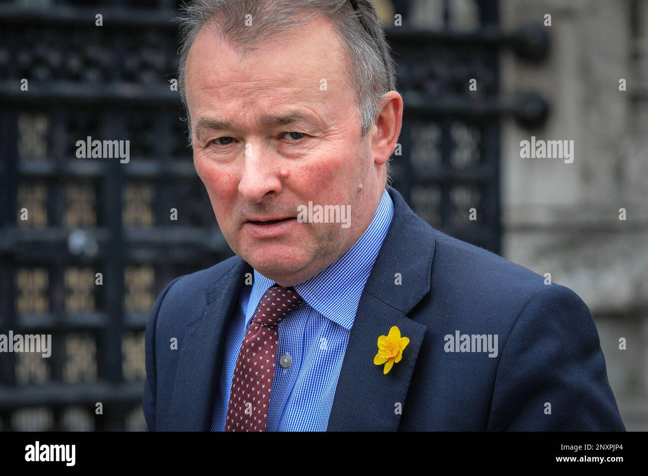 Londra, Regno Unito. 01st Mar, 2023. Simon Hart, membro del Parlamento, Capo del Partito conservatore e Segretario parlamentare al Tesoro, esce dal Parlamento subito dopo l'odierna PMQ. Credit: Imageplotter/Alamy Live News Foto Stock