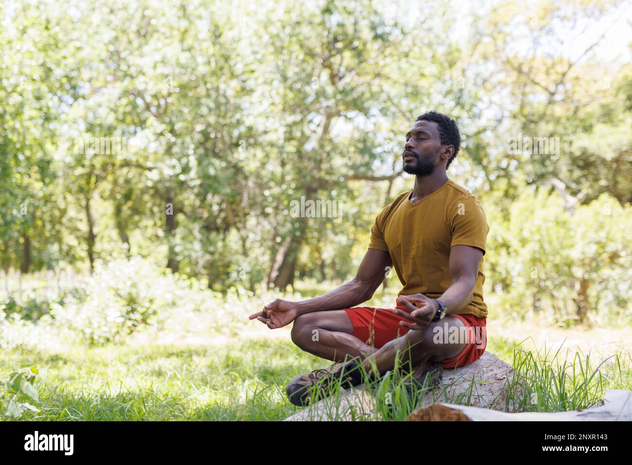 Felice uomo afroamericano meditando con gli occhi chiusi, seduto in una foresta soleggiata, copia spazio Foto Stock