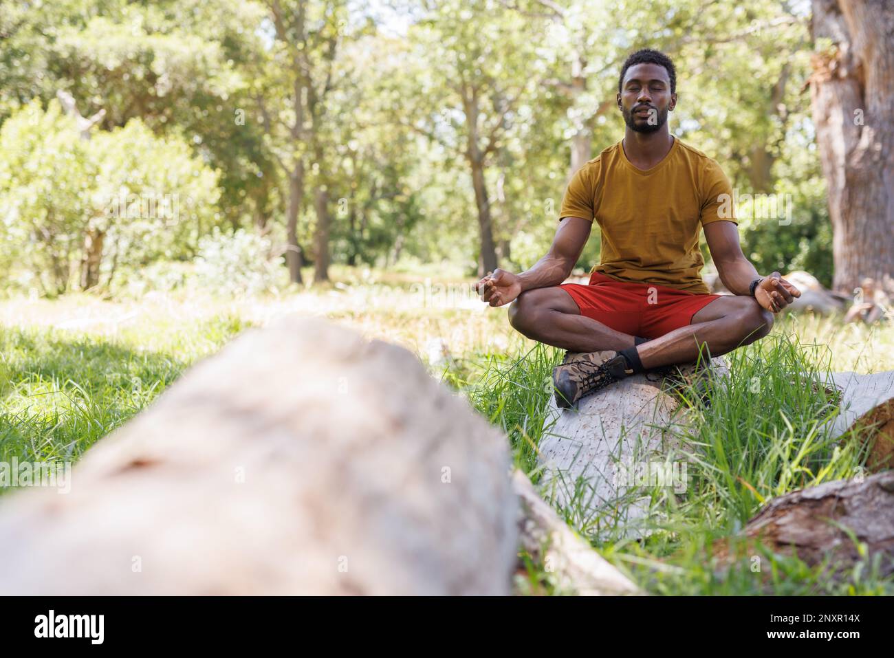 Felice uomo afroamericano meditando con gli occhi chiusi, seduto in una foresta soleggiata, copia spazio Foto Stock