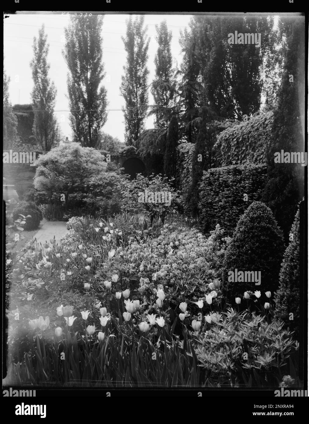 Taylor House, Monument Street, Richmond, Henrico County, Virginia. Carnegie Survey of the Architecture of the South. Stati Uniti Virginia Henrico County Richmond, giardini. Foto Stock