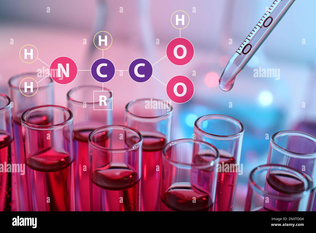 Formula chimica degli amminoacidi, illustrazione. Gocciolamento del reagente nella provetta con liquido rosso, primo piano Foto Stock