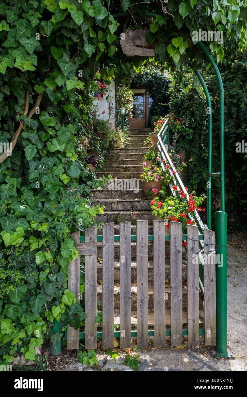 Cancello di legno e gradini che conducono attraverso i cespugli alla porta della casa Foto Stock