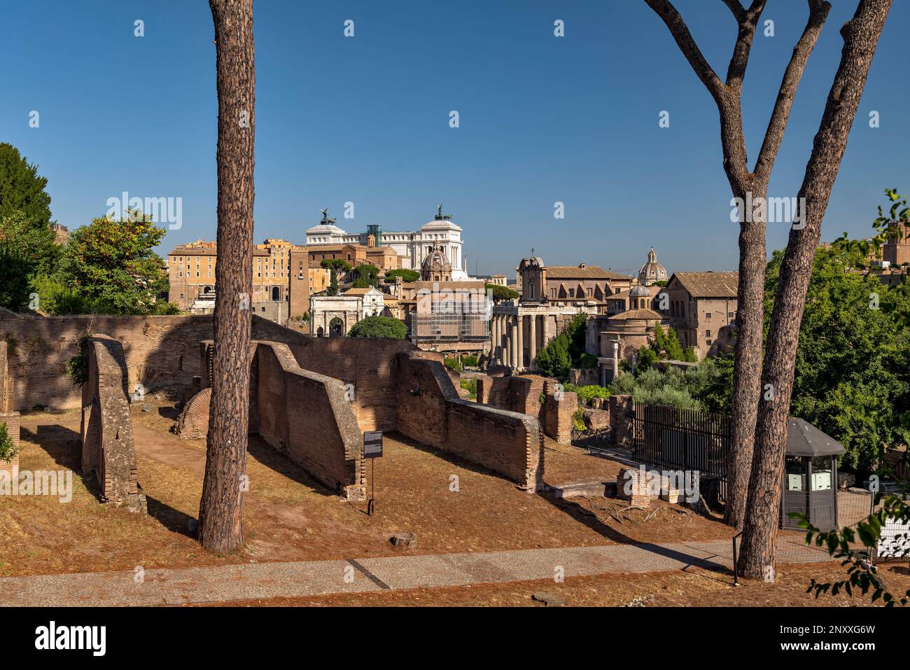 il colosseo visto dai giardini farnese