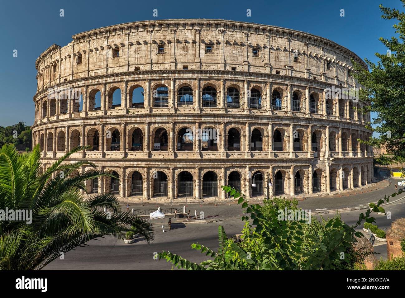 Il Colosseo, Roma, Italia Foto Stock