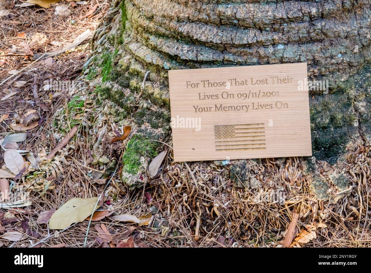 Piccola targa commemorativa in legno del 9/11 lasciata alla base di una palma Foto Stock