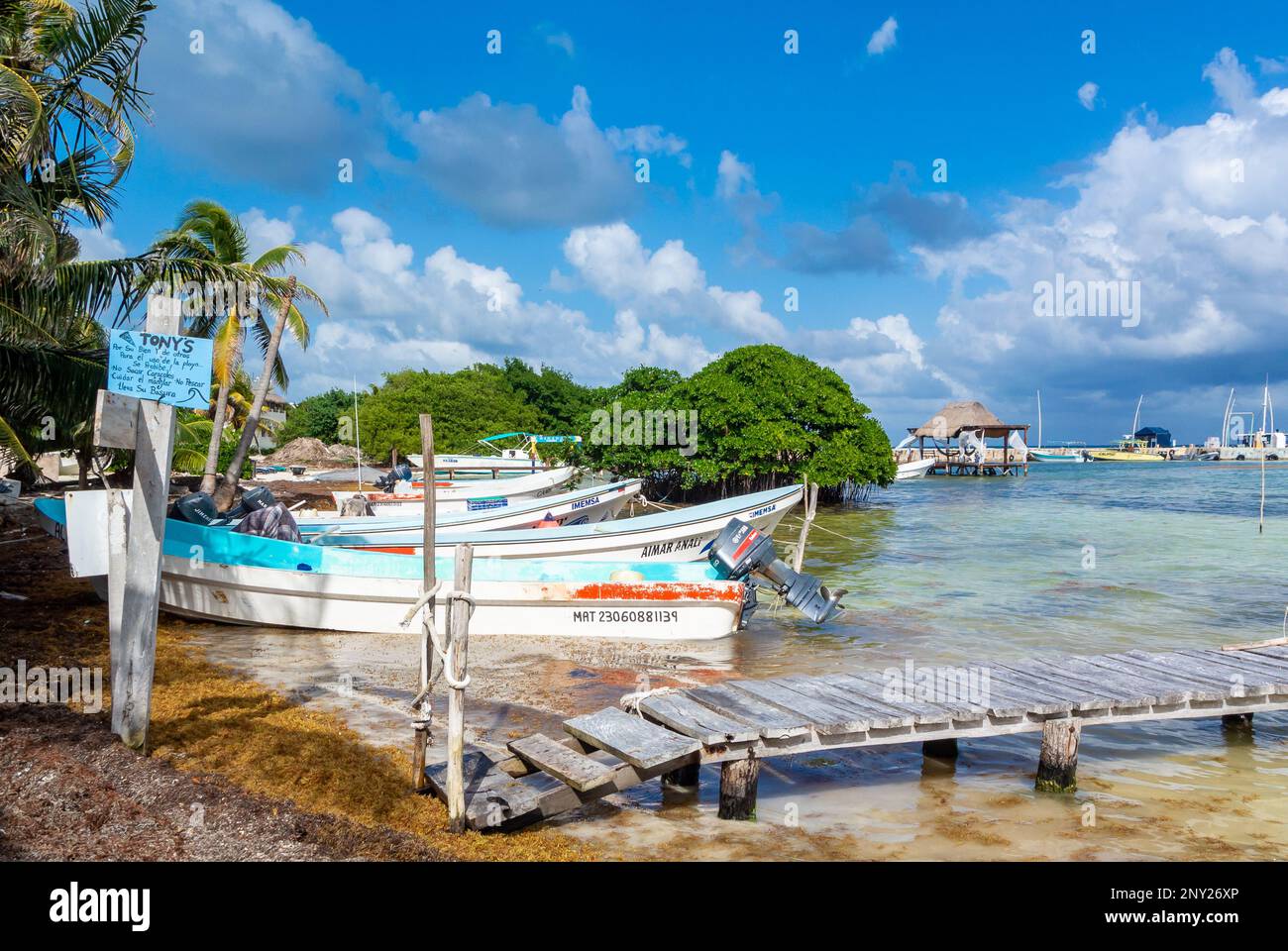 Mahahual, Quintana Roo, Messico, Un molo sulla spiaggia di Mahahual con sargassum che danneggiano la costa maya. Foto Stock