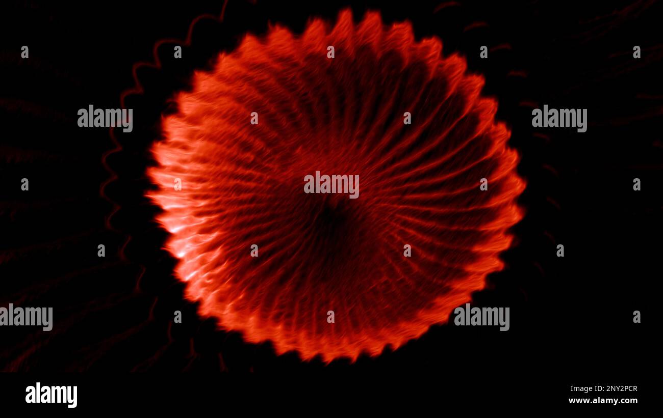 Forma rotonda astratta con lame isolate su sfondo nero. Movimento. Figura complessa rotante che assomiglia a un fiore digitale Foto Stock