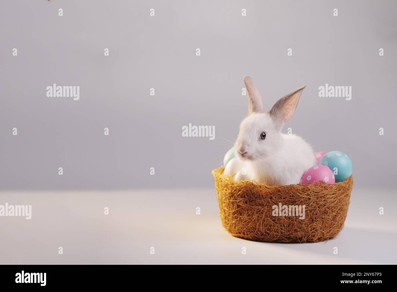 Coniglio bianco in piedi in un cesto con uova decorate. Concetto di vacanza di Pasqua. Foto Stock