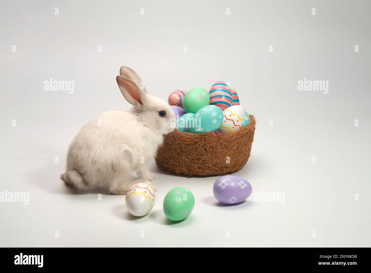 Coniglio bianco in piedi vicino a un cesto con uova decorate. Concetto di vacanza di Pasqua. Foto Stock