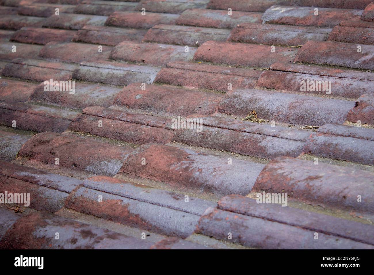 Vista di vecchi tegoli sopra una pensione. Stile retrò del tetto con tegole. Foto Stock