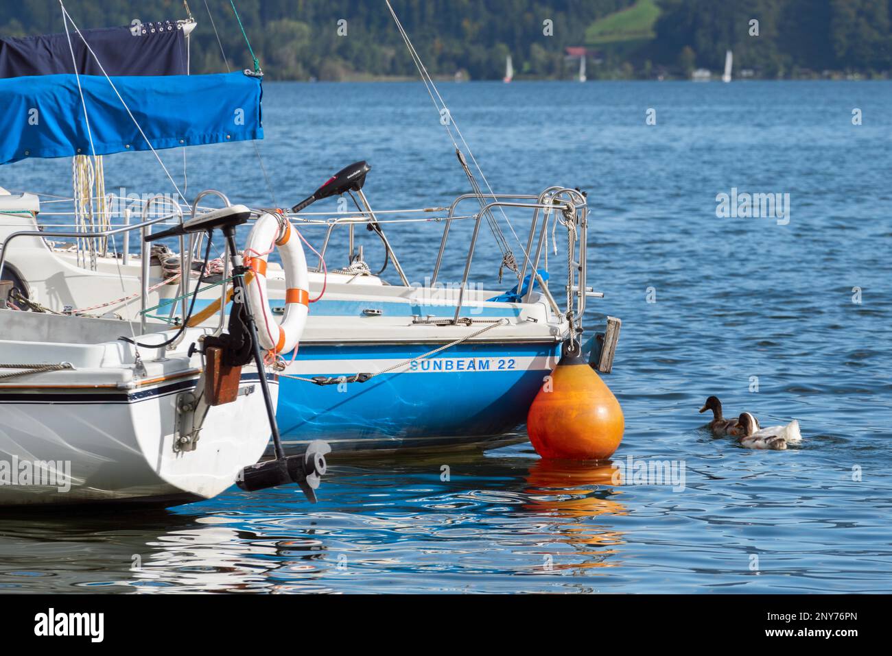 Yachts presso il lago Mondsee in Austria Foto Stock