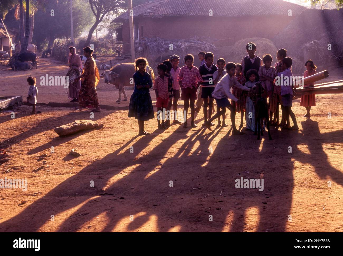 Bambini del villaggio a Kokkarebellur, Karnataka, India del sud, India, Asia Foto Stock
