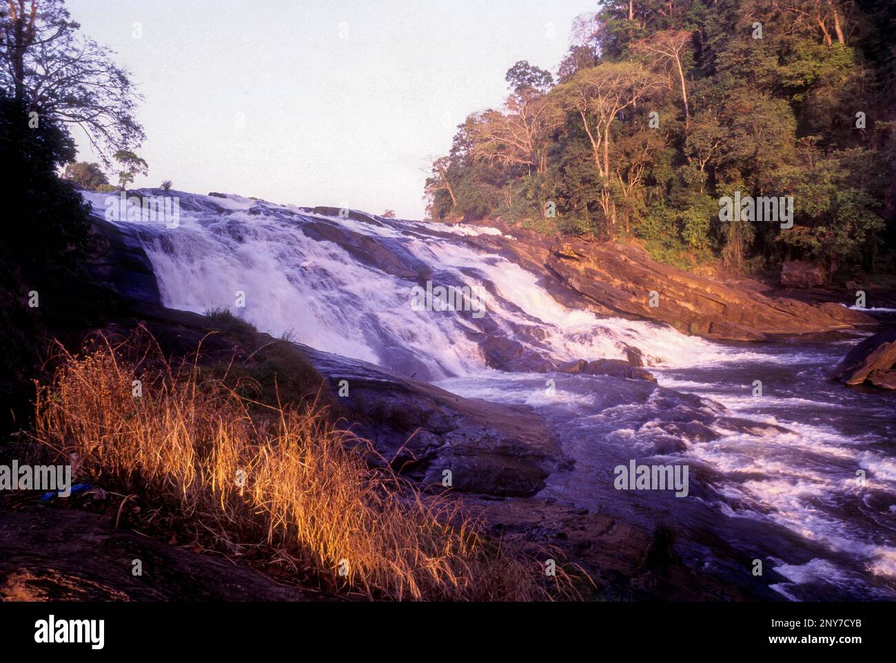 Cascate Vazhachal vicino Athirappilly, Kerala, India del Sud, India, Asia Foto Stock