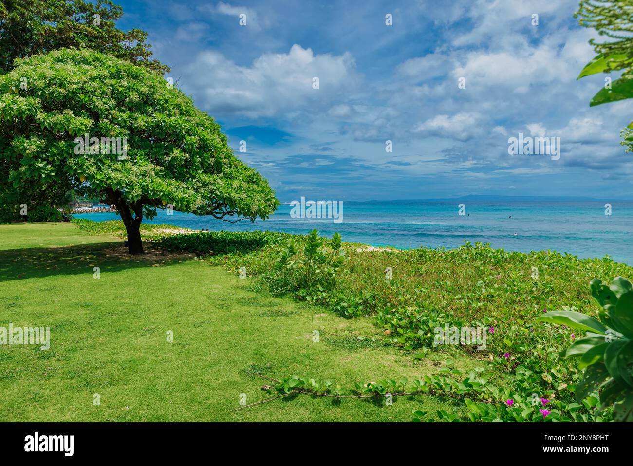 Costa tropicale dell'isola di Bali. Litorale panoramico con oceano blu Foto Stock