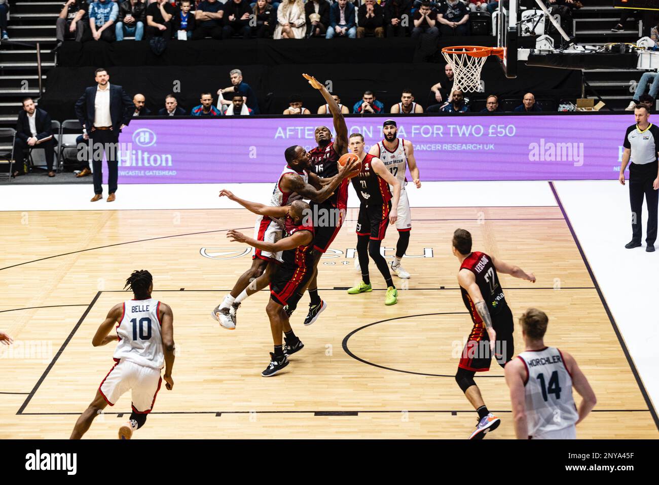 GB Mens Basketball team perde in Belgio 59- 88 in un qualificazione FIBA World Cup alla Newcastle Vertu Arena il 24 febbraio 2023. Il capitano del GB Carl Wheattle copyright caroljmoir/Alamy Foto Stock