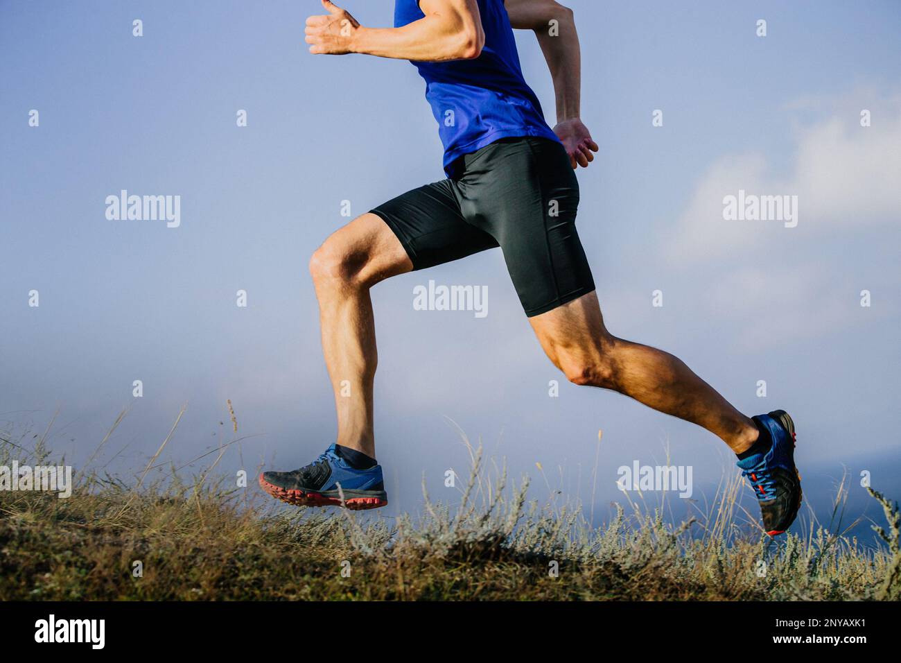 gambe muscolari pista runner su erba secca Foto Stock