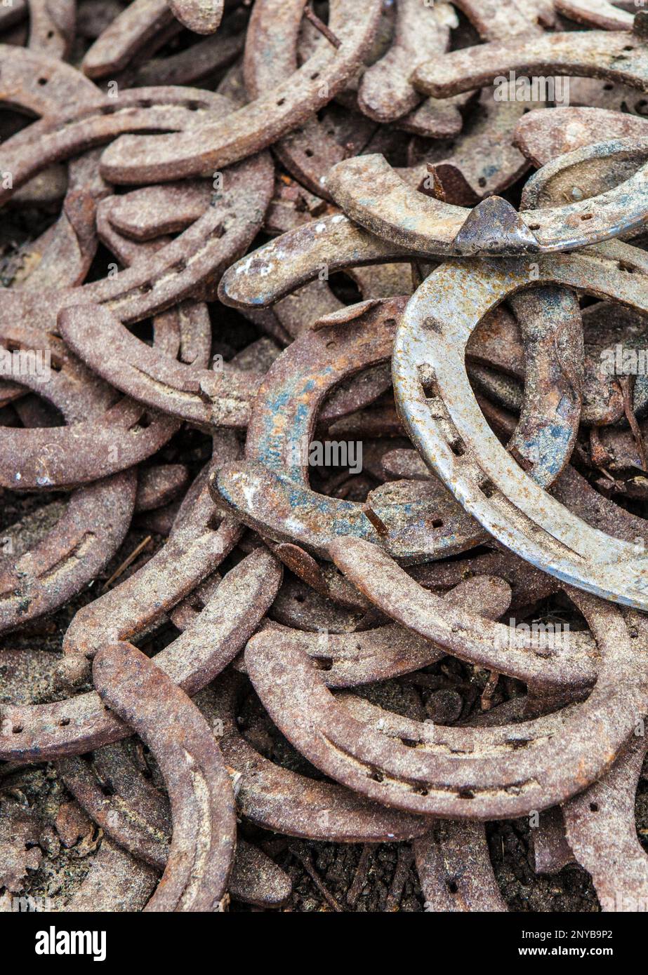 Pile di vecchi ferro di cavallo usati e arrugginiti. Messa a fuoco selettiva. Foto Stock
