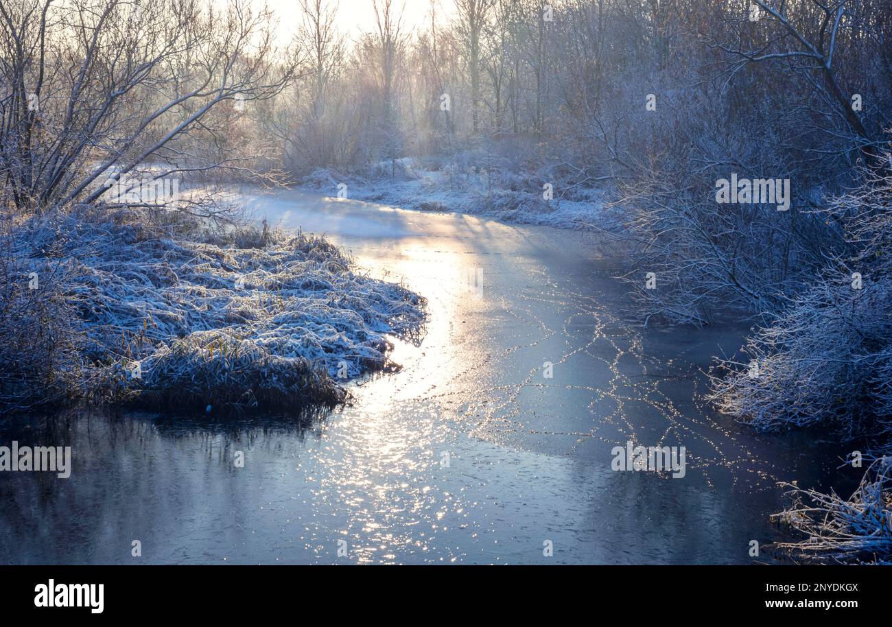Ruscello ghiacciato colpito dalla luce del sole mattutino in inverno Foto Stock