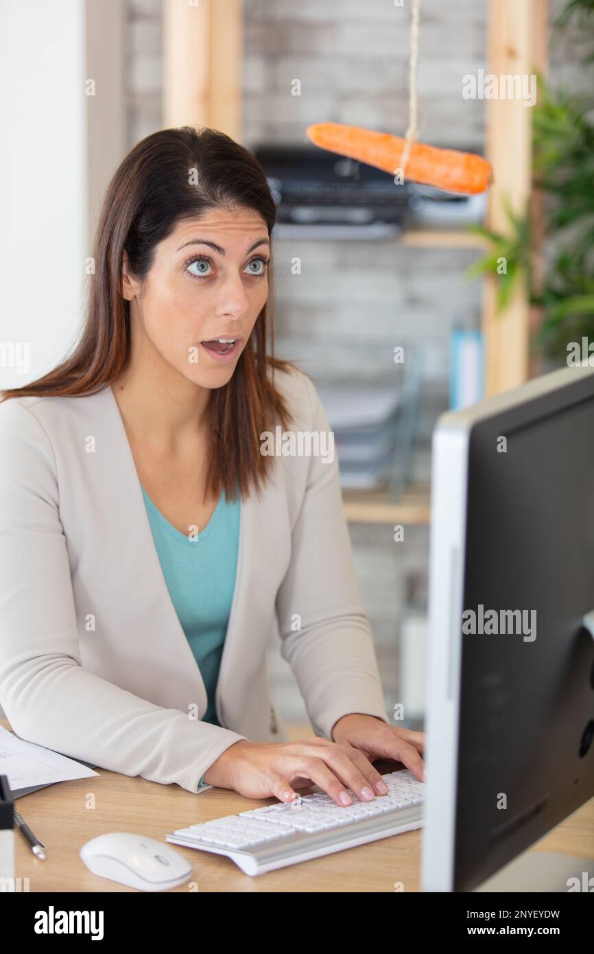 carota penzolante sopra la signora utilizzando il computer Foto Stock