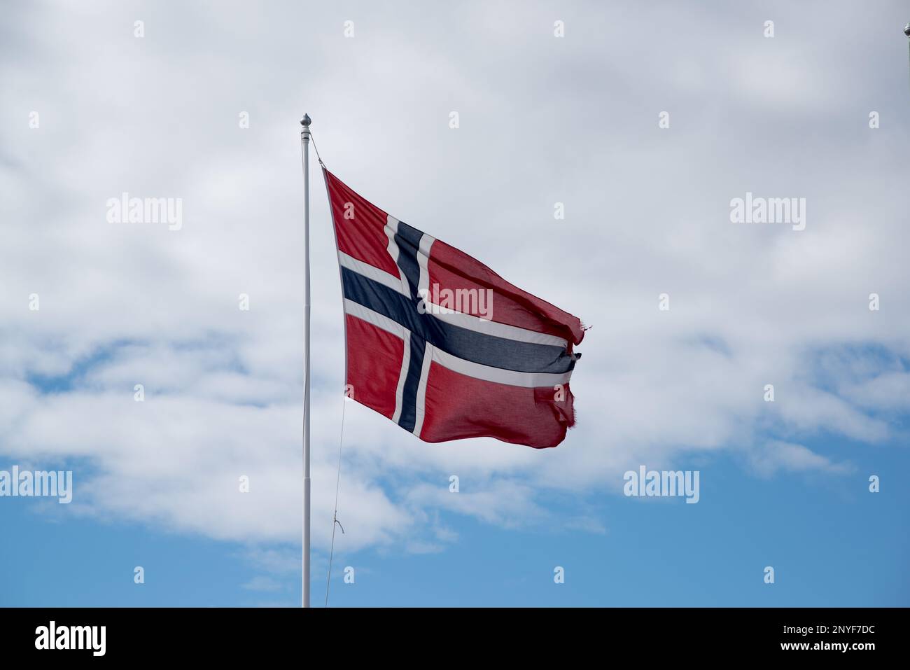 Bandiera norvegese al Circolo polare Artico nel comune di Rana nella contea di Nordland in Norvegia. Foto Stock