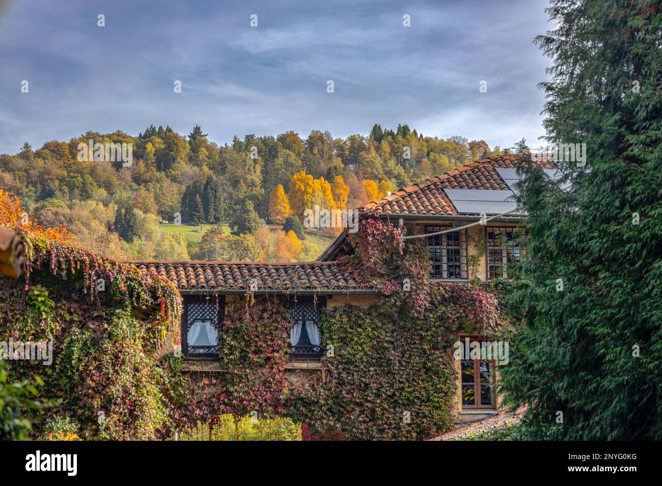 Edificio coperto di piante rampicanti con Parco Burcina sullo sfondo in autunno, provincia di Biella, Italia Foto Stock