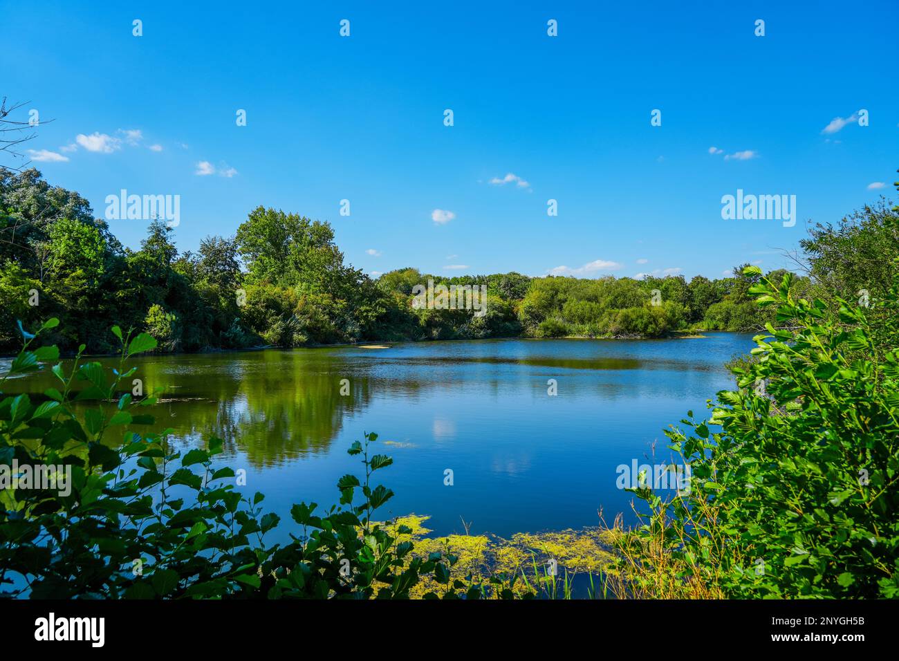 Paesaggio al Koldinger visto nella Leineaue meridionale. Riserva naturale nei pressi di Laatzen. Natura con laghi e vegetazione verde. Foto Stock