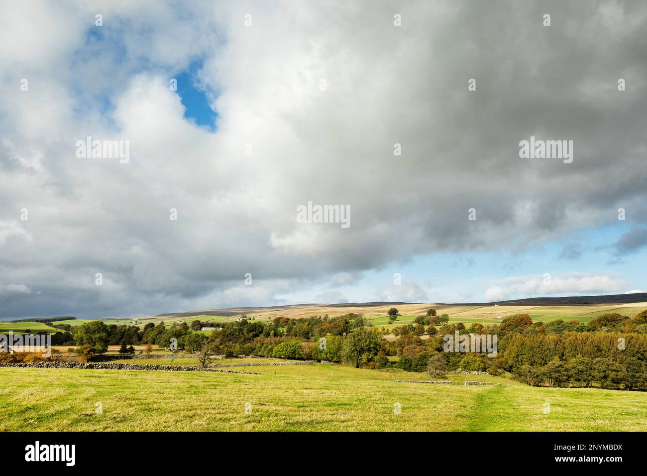 Vista da Holwick a Teesdale a Bowlees, Newbiggin ed Ettersgill con Swinhope Head, Westernhope Moor e Middleton Common in lontananza, Teesdale Foto Stock