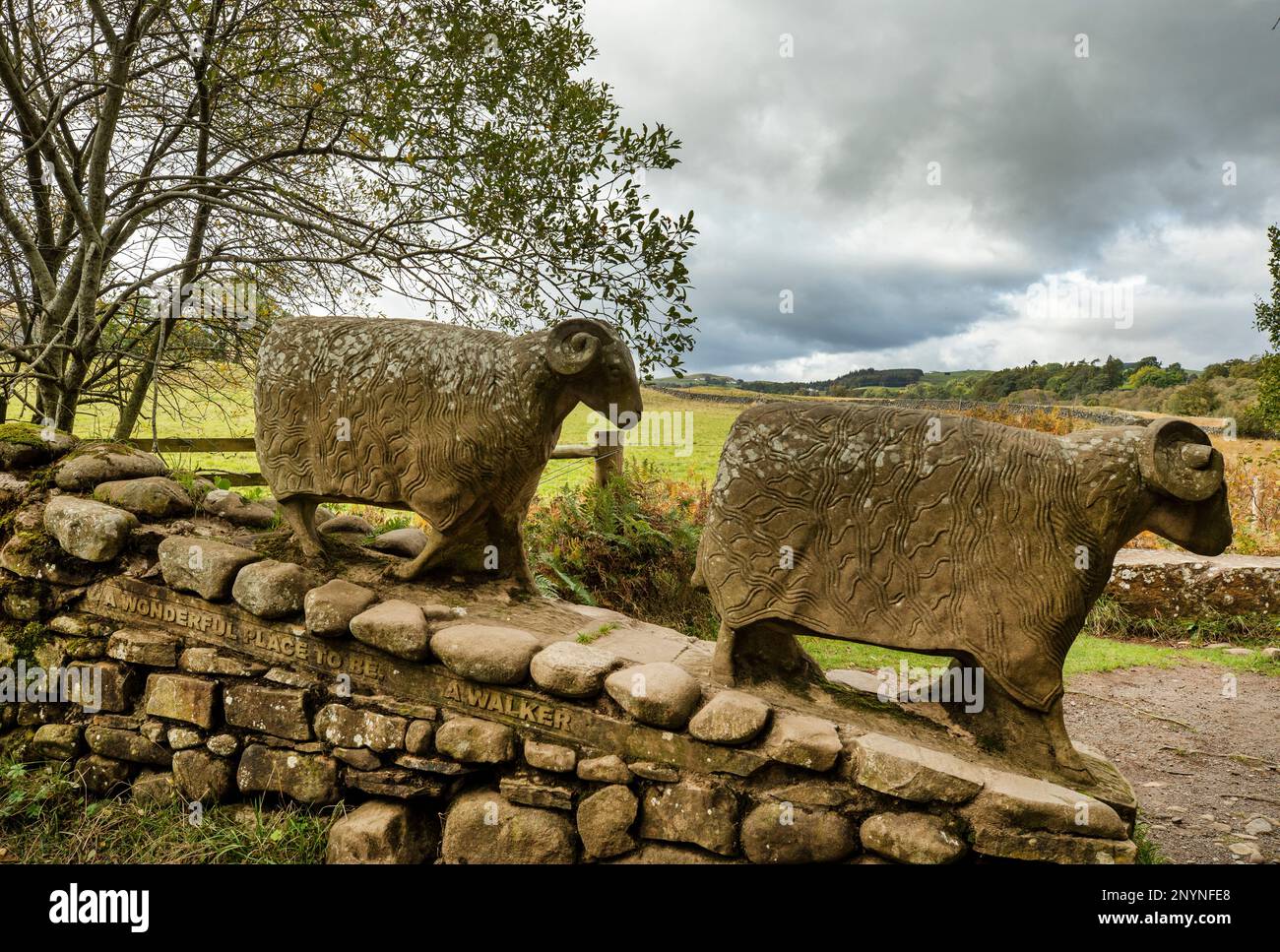 Sculture di pecore in pietra su un muro di pietra a secco sulla Pennine Way vicino a Low Force Middleton nella contea di Teesdale Durham. Le sculture sono di Keith Alexander. Foto Stock