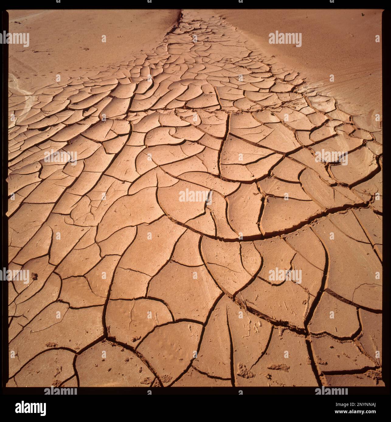 Argentina, terra spaccata nel nord, a causa della siccità. Foto Stock