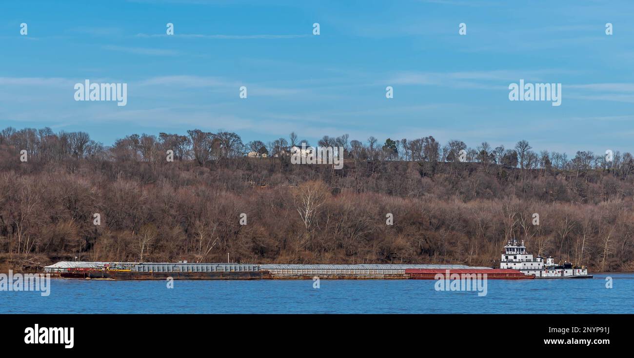 Un rimorchiatore che spinge chiatte lungo il fiume Ohio con l'Indiana sulla riva dietro di esso Foto Stock