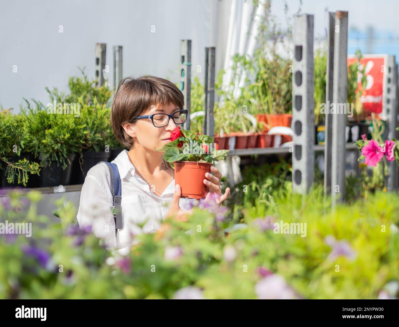 Donna sceglie le piante per abbellire. Scaffali all'aperto con piantine, piante da fiore e semi in negozio di fiori. Mercato agronomico all'aperto. Foto Stock