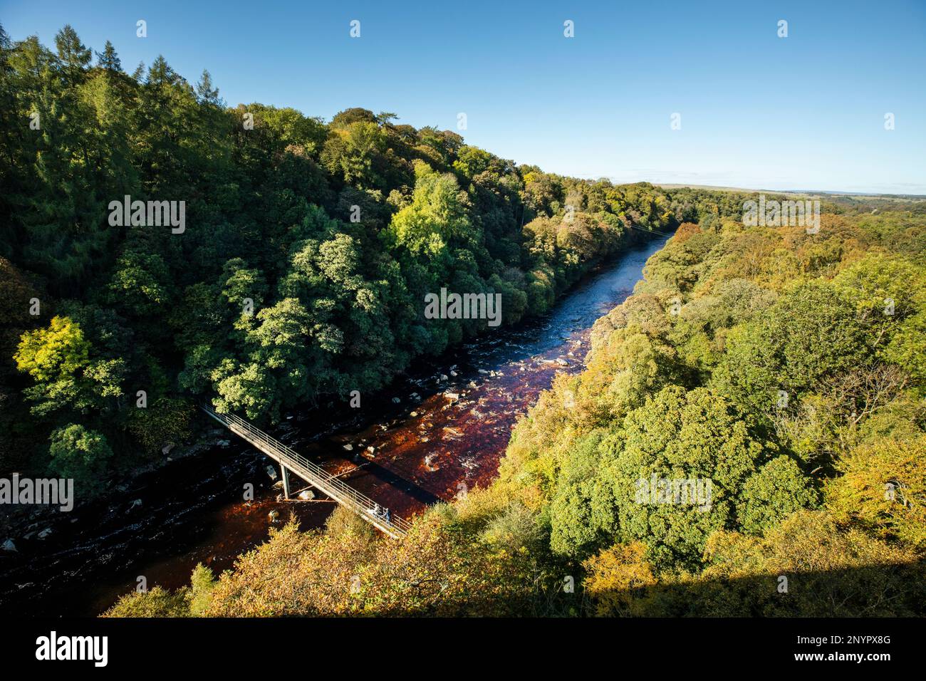 Un ponte pedonale sul South Tyne Trail attraversa la valle boscosa del fiume South Tyne sotto il viadotto Lambley, Northumberland Foto Stock