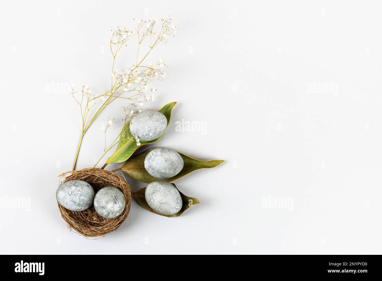 Concetto ecologico di Pasqua minimo con fiori secchi. Uova grigie su foglie di magnolia secche e in un nido marrone di ramoscelli su sfondo grigio Foto Stock