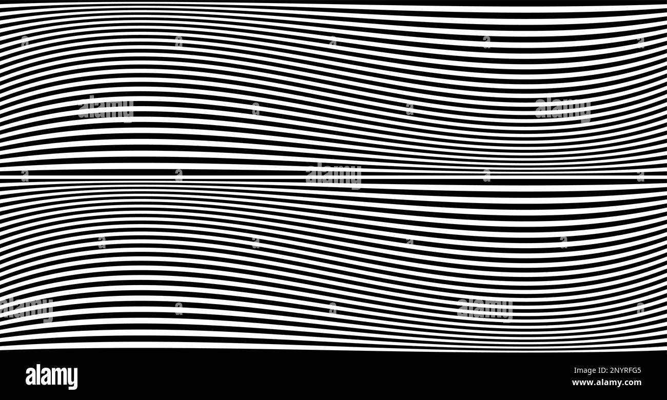 Banner nero a strisce ondulate. Linee di zebra dell'Africa psichedelica. Modello astratto. Texture con curve a strisce ondulate. Arte ottica sfondo. Onda nero e w Illustrazione Vettoriale