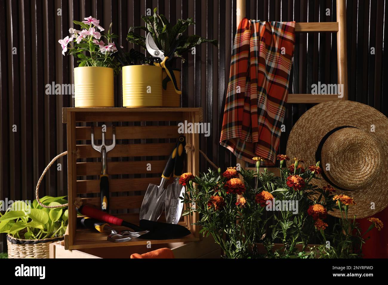 Belle piante, attrezzi da giardinaggio e accessori vicino a parete di legno  di tino Foto stock - Alamy