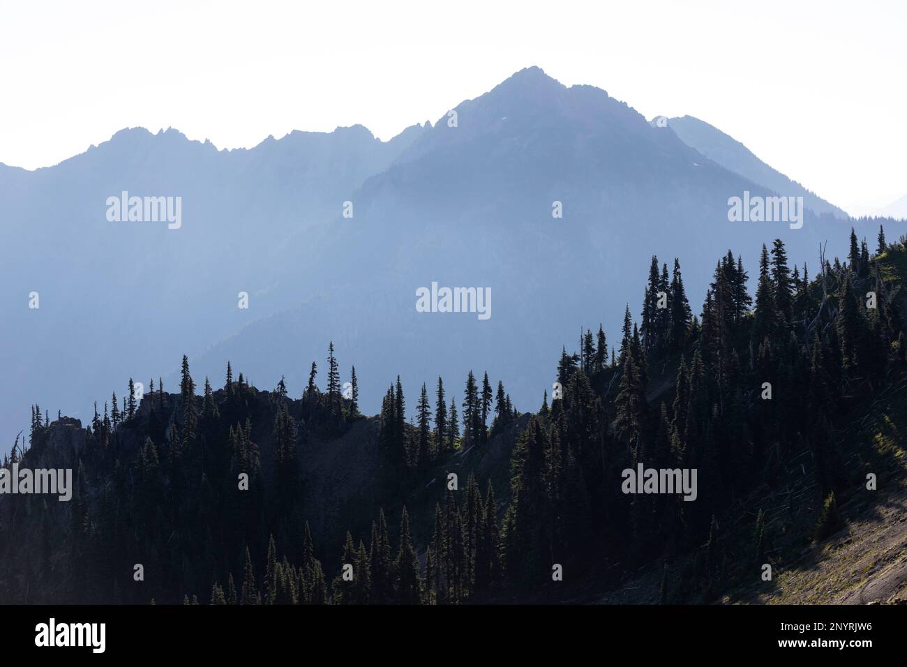 WA20998-00....WASHINGTON - Montagne olimpiche da Hurricane Hill nel Parco Nazionale Olimpico. Mount Angeles è il punto più alto del secondo crinale. Foto Stock