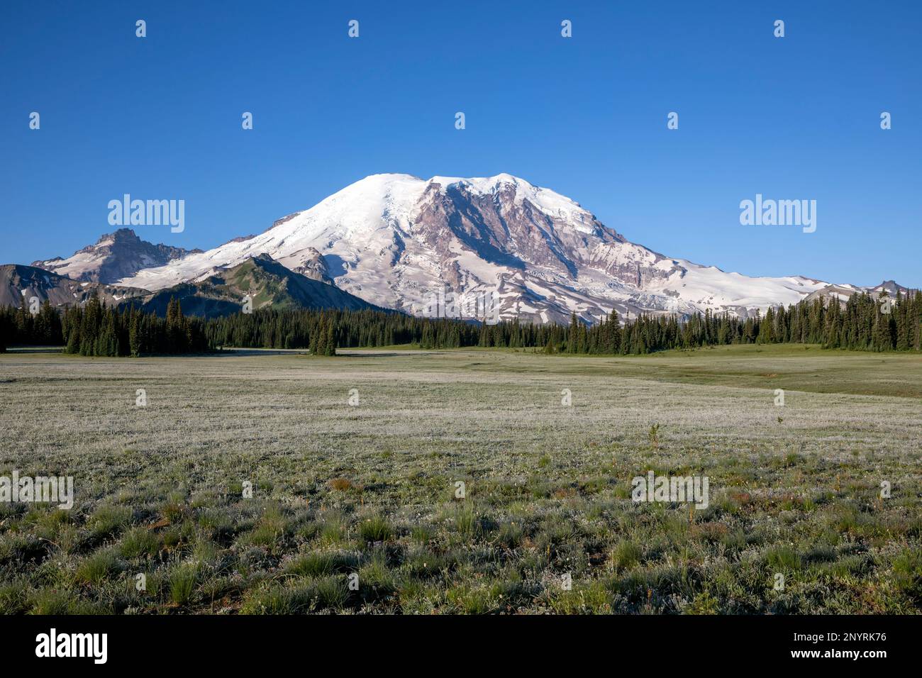 WA24001-00....WASHINGTON - Monte Rainier da Grand Park, Parco Nazionale del Monte Rainier. Foto Stock