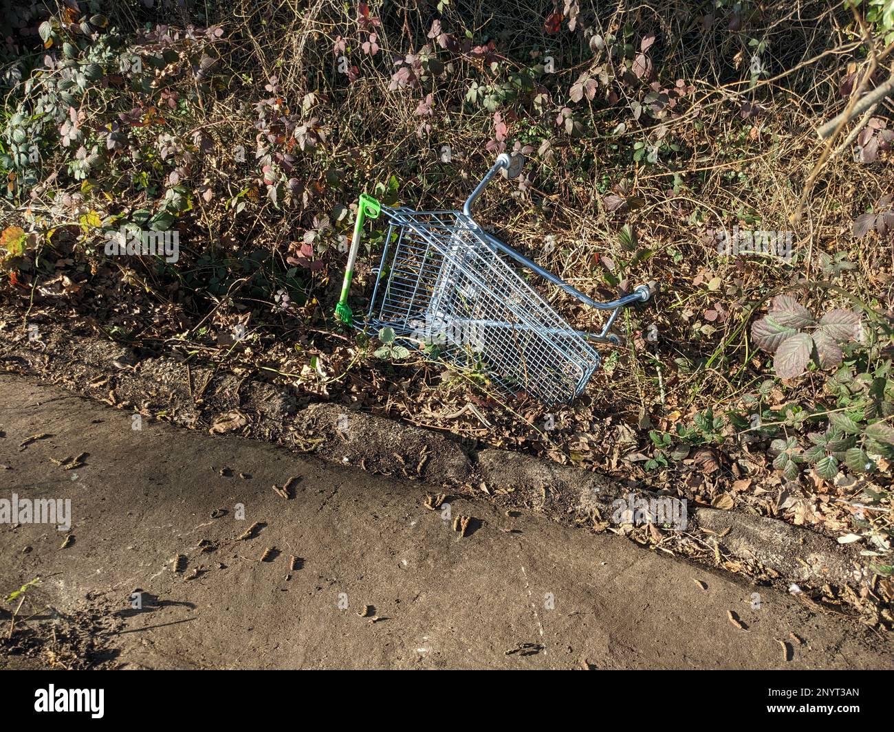 Un cestino abbandonato del carrello di shopping a Woodland dal lato di un sentiero gettato dentro e scartato Foto Stock