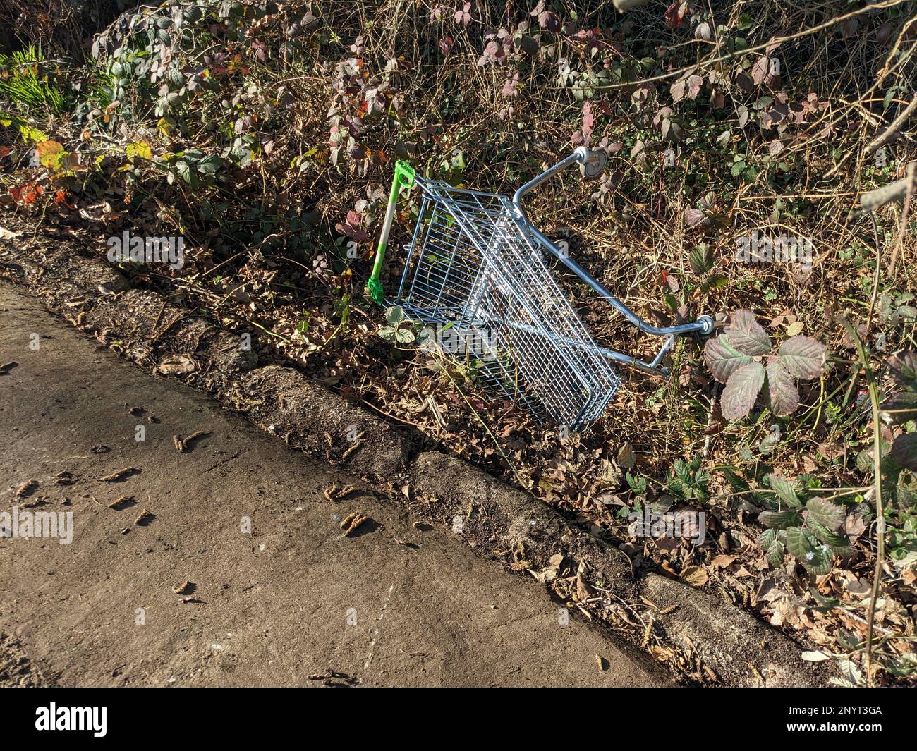 Un cestino abbandonato del carrello di shopping a Woodland dal lato di un sentiero gettato dentro e scartato Foto Stock