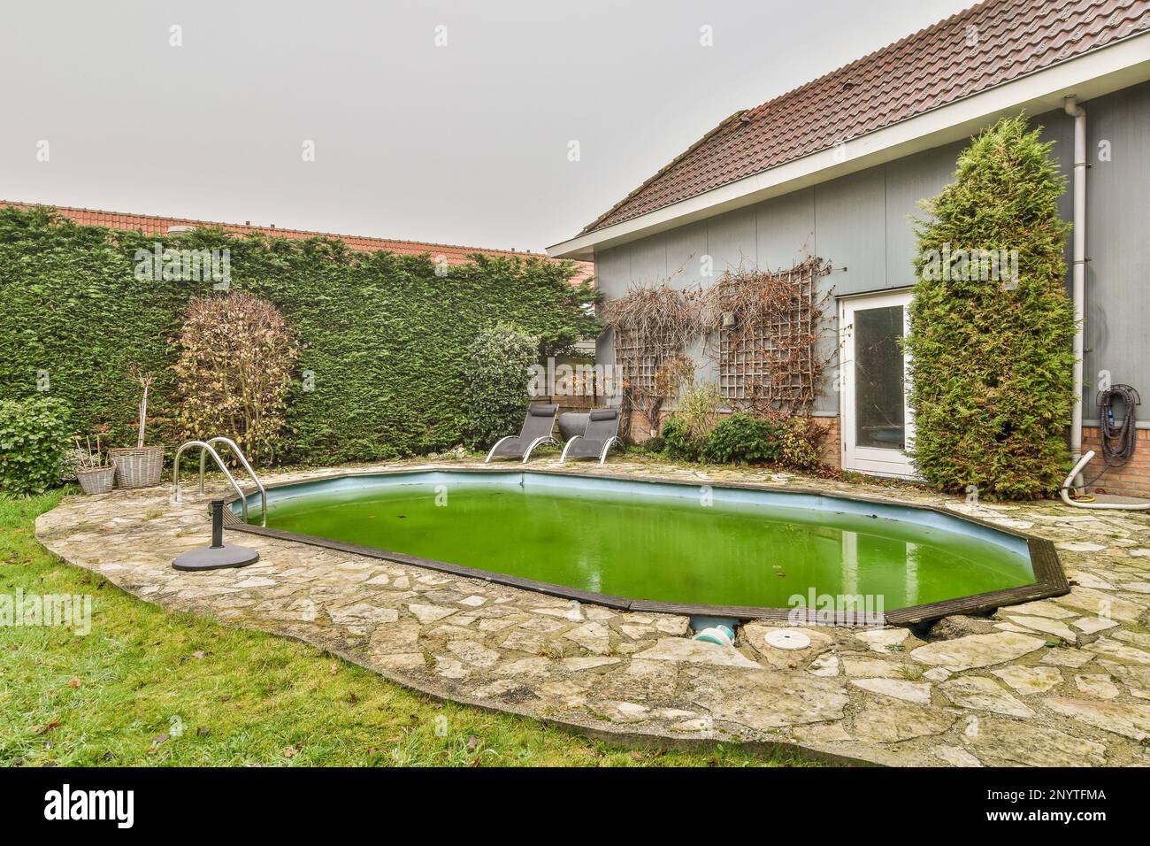 un cortile con una piscina al centro e piante verdi che crescono dall'altro lato della casa dietro di esso Foto Stock